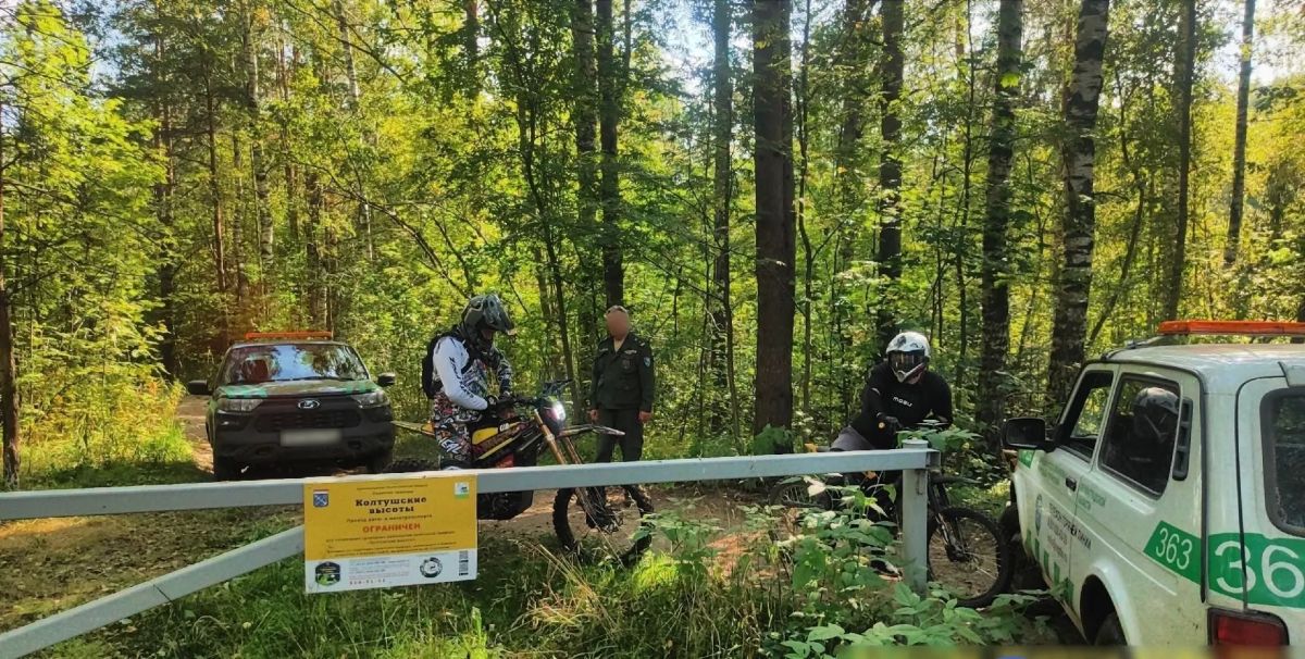 На ООПТ Ленобласти за выходные выявили 19 нарушений На ООПТ Ленобласти за выходные выявили 19 нарушений