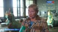 К юбилею Египетского моста реставраторы восстановили его вечных хранителей - сфинксов