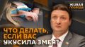 "Живая природа" с Эдгардом Запашным