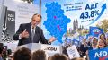 ����� ������: ������ ���: ����������� ����� ����� �� �������