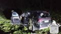 За один вечер в Ленобласти произошли две аварии с лосями