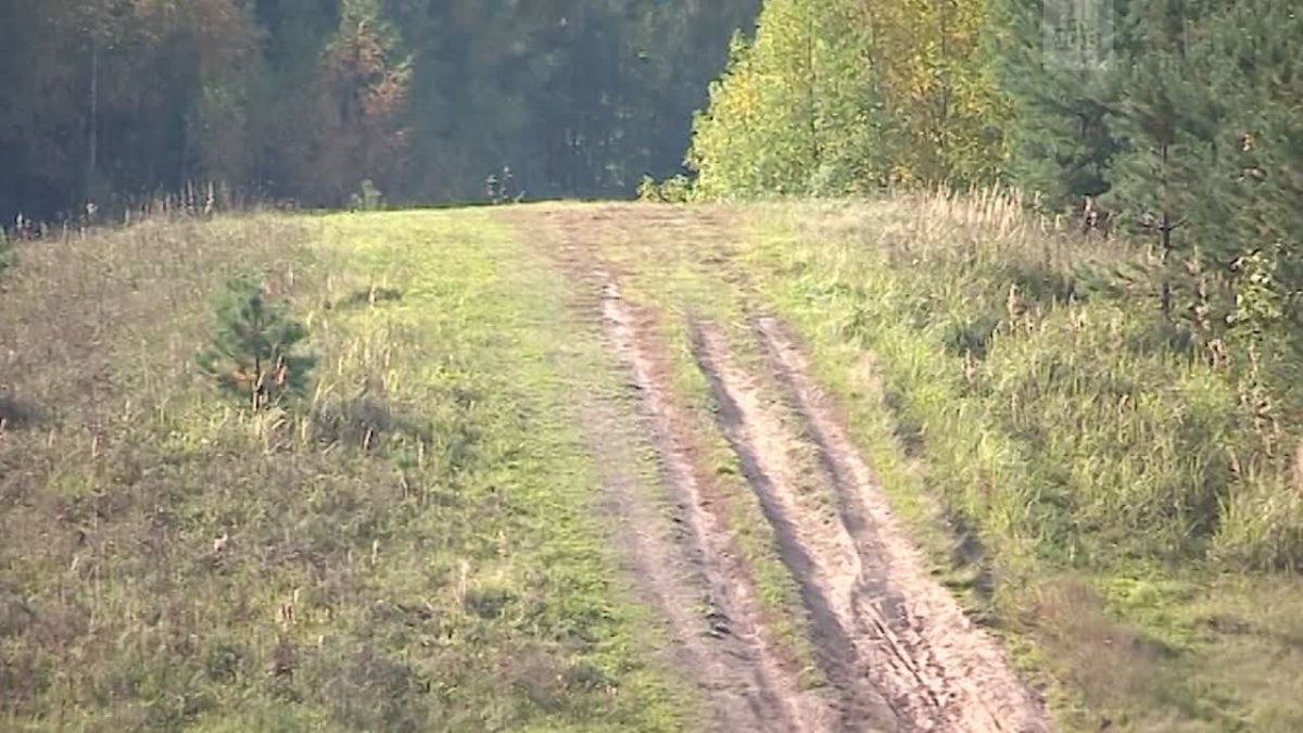 Разрушением холмов в Колтушах заинтересовалась Всеволожская городская прокуратура