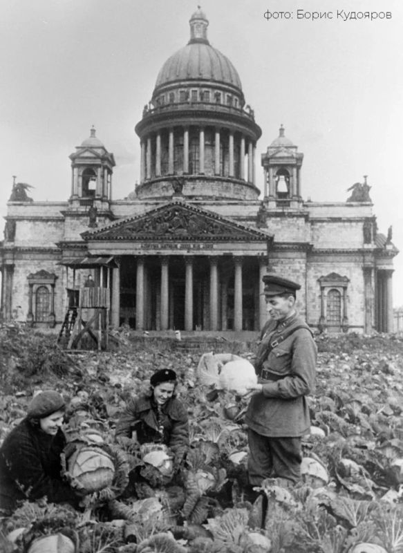 Михаил Развожаев: 85 лет назад, 8 сентября 1941 года, началась блокада Ленинграда Михаил Развожаев: 85 лет назад, 8 сентября 1941 года, началась блокада Ленинграда