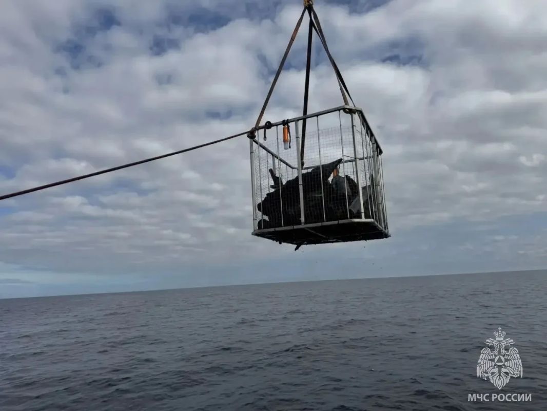 Водолазы подняли со дна Ладоги 378 боеприпасов времен Войны Водолазы подняли со дна Ладоги 378 боеприпасов времен Войны