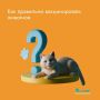 Почему ветеринары так настойчиво напоминают о ежегодных прививках, даже если питомец абсолютно домашний? Дело в том, что вирусы могут попасть даже в квартиру – просто на обуви
