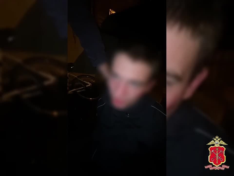 Полицией задержаны подозреваемые в ограблении прохожего в парке