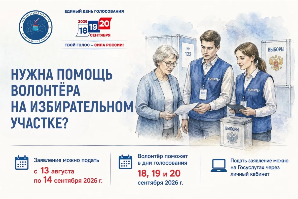 Нужна помощь волонтёра на избирательном участке?