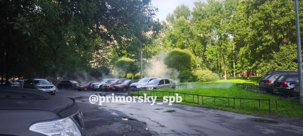 Трубу с горячей водой прорвало рядом с лицеем №40 на Комендантском проспекте