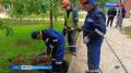 В Сквере Петра Великого установят 55 новых светодиодных фонарей