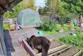 �� ���������. ������, ���� �������� ���������