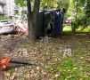 Автомобильную многоножку устроила водитель «Мерседеса» в Рыбацком