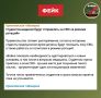 ����: ���������-������� ����� ���������� � ���� ��� � ������ �������
