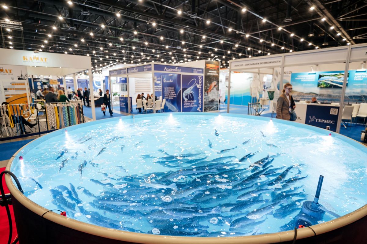 В Петербурге пройдет Международный рыбопромышленный форум и Seafood Expo Russia – 2026 В Петербурге пройдет Международный рыбопромышленный форум и Seafood Expo Russia – 2026