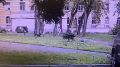Прокуратура защищает права ребенка, на которого напал ротвейлер