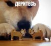 ���� ��������: ������ �� �� ������ �������� ���� �� �������� ������� ������� ������ ������