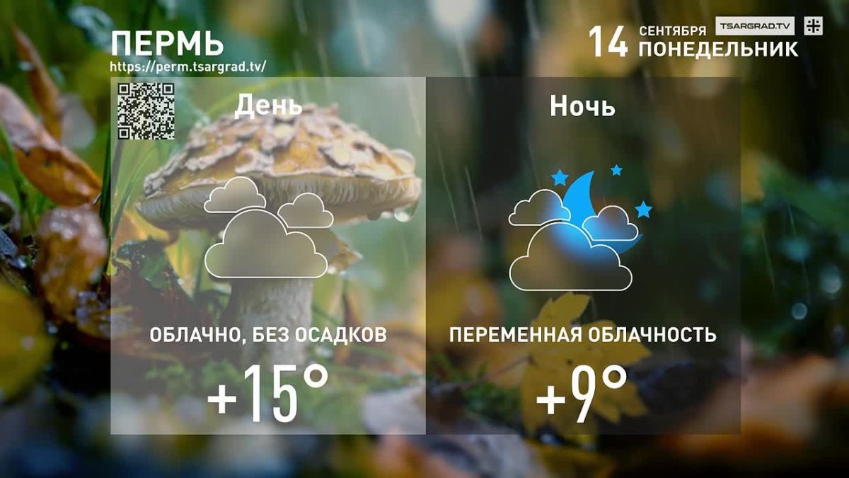 Поздняя осень. Грачи улетели