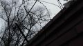 Драка со скорой привела петербуржца в колонию общего режима
