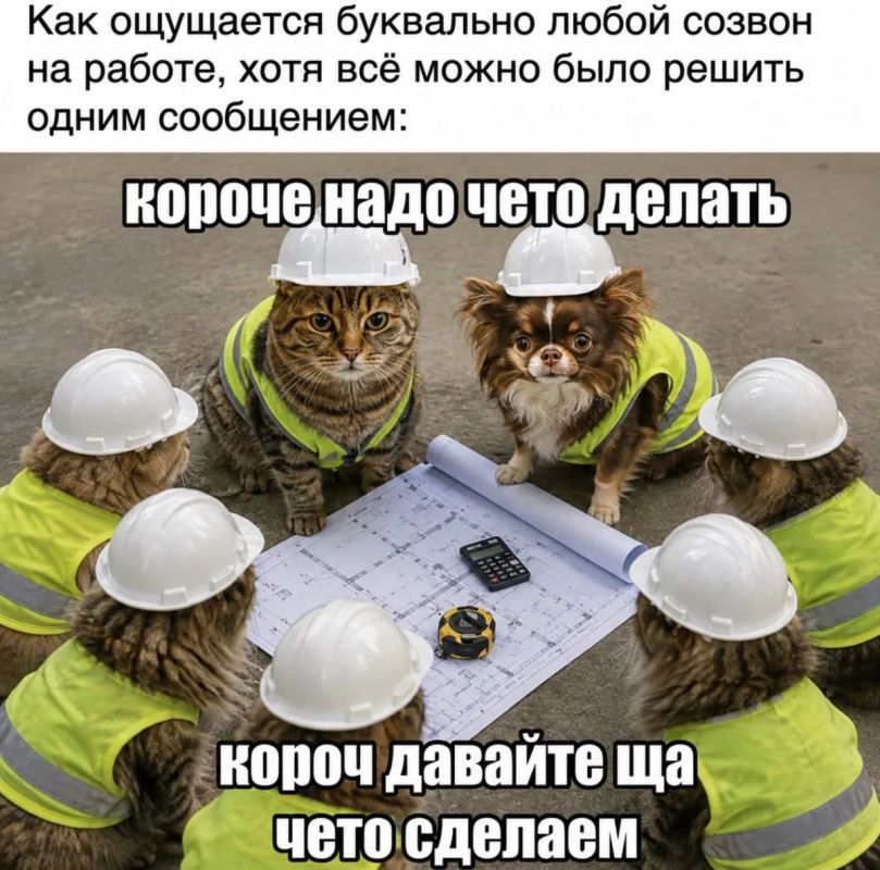 Мем-прогноз на 15 сентября: Чего ожидать от сегодняшнего дня? Смотри на фото