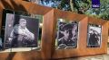 В Санкт-Петербурге в Ораниенбаумском саду открыли памятник народному артисту СССР Кириллу Лаврову, передает корреспондент ТАСС