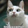 Продолжите фразу: почему никто не говорит о *?