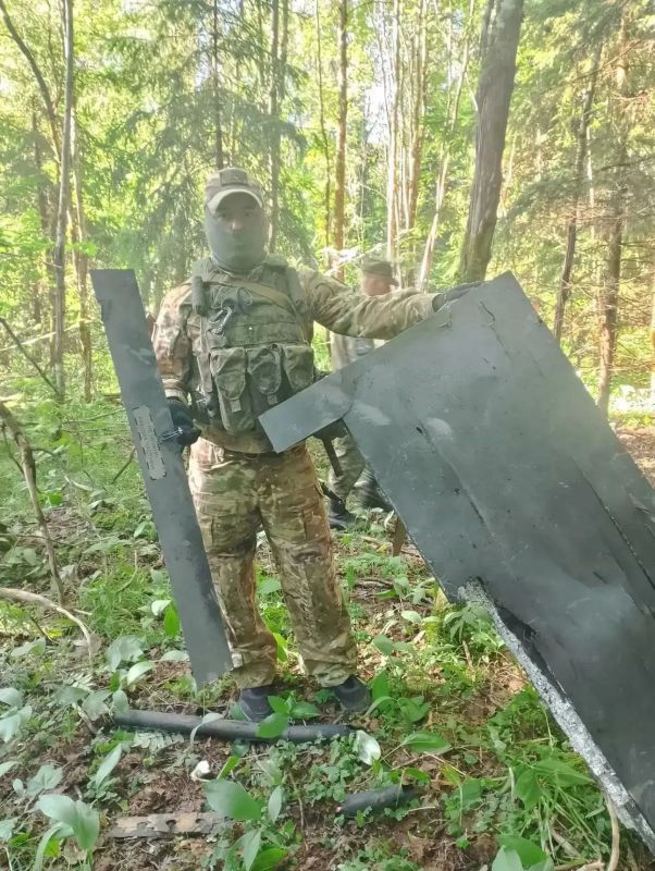 Александр Дрозденко показал сбитые в Ленобласти вражеские БПЛА Александр Дрозденко показал сбитые в Ленобласти вражеские БПЛА
