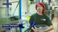 Поиграли и бросили. Жертвами нелегальных торговцев в Санкт-Петербурге стали