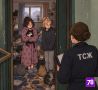 Кошатниц обязали оставить только двух питомцев