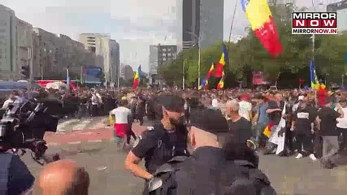 Больные овцы. резонансный протест в Бухаресте