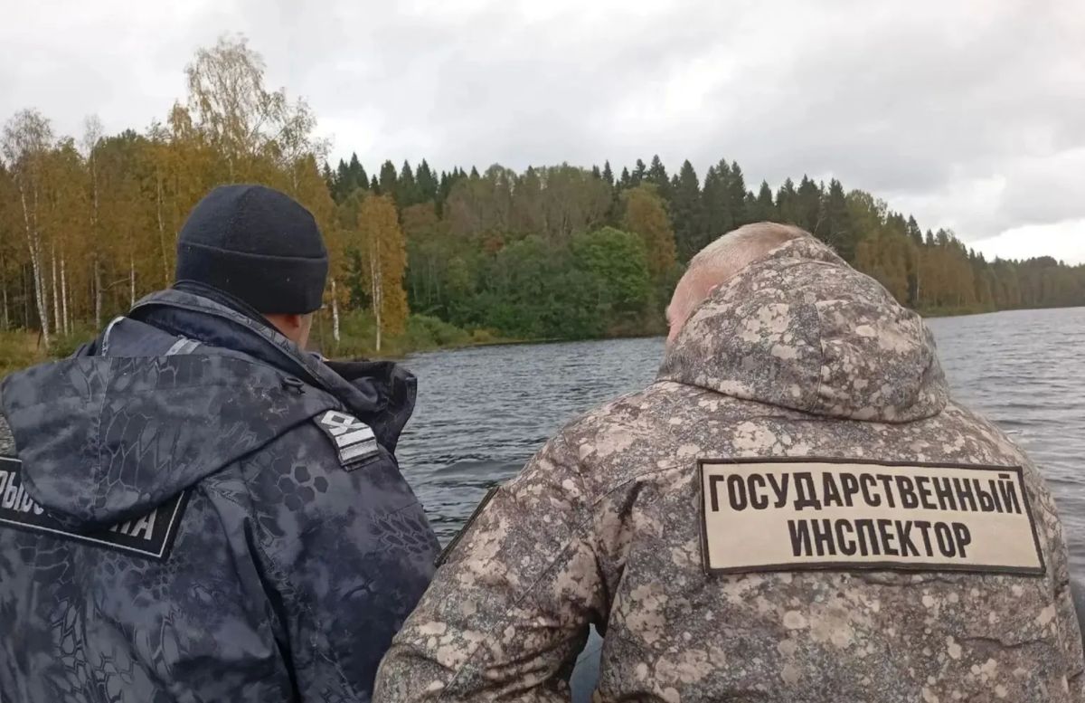 В «Вепсском лесу» изъяли запрещенные орудия лова В «Вепсском лесу» изъяли запрещенные орудия лова
