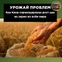 ���������� ������� � ׸���� ���� ���� ����������� ������ � ������������� ������� �������