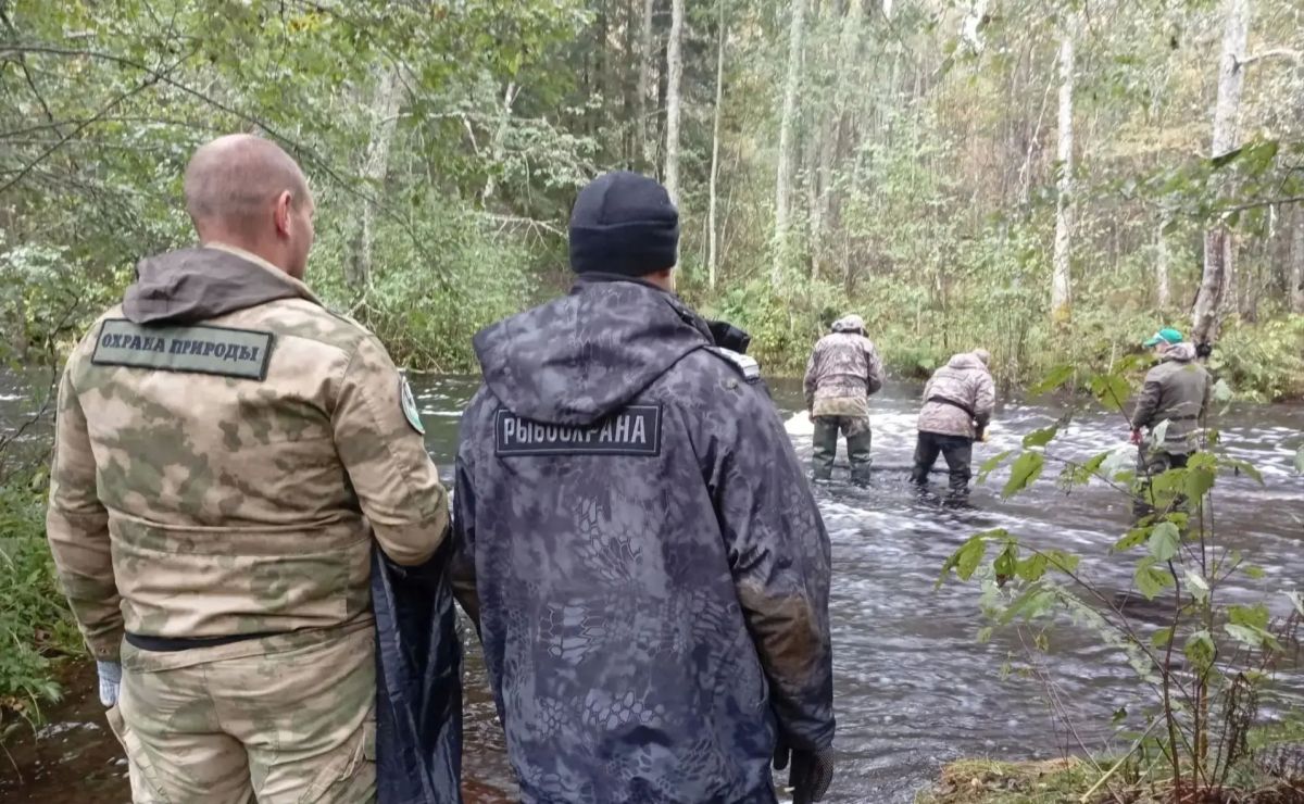 В «Вепсском лесу» изъяли запрещенные орудия лова В «Вепсском лесу» изъяли запрещенные орудия лова