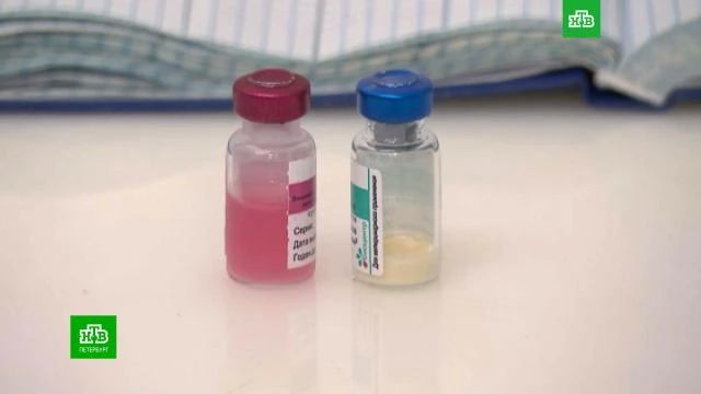 Россельхознадзор выяснил, почему вакцина «Мультикан-8» убила сотни собак