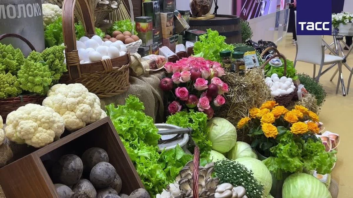 В Санкт-Петербурге в конгрессно-выставочном центре "Экспофорум" проходит второй день 35-й Международной агропромышленной выставки "Агрорусь", передает корреспондент ТАСС