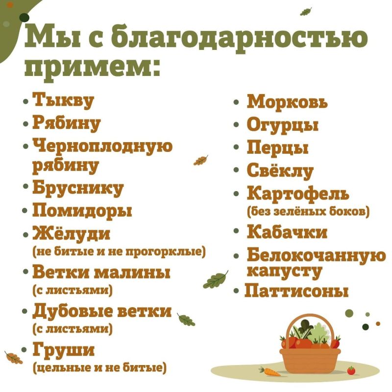 Ленинградский зоопарк просит желуди – акция «Дары осени» подходит к концу