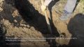 На улице Ленсовета начался заключительный этап реконструкции наружного освещения