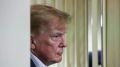 Дмитрий Дробницкий: ТРАМП "НА РАСПУТЬЕ":. Только сейчас, похоже, он понял, какой у него выбор