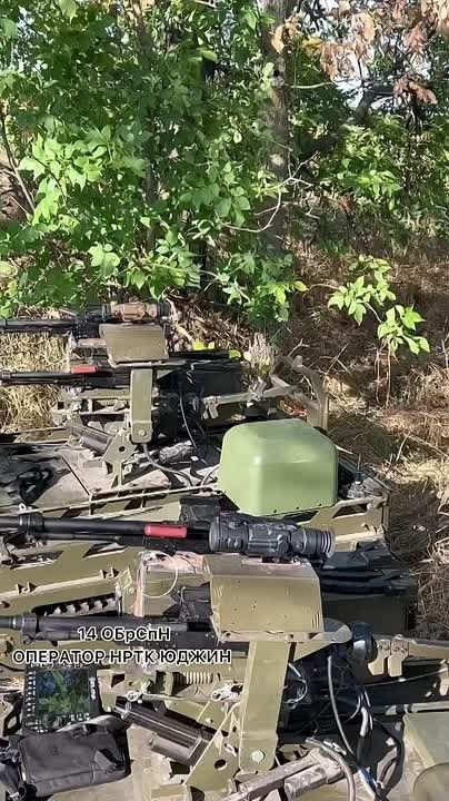 Первые в РФ. Первые в Восточном округе