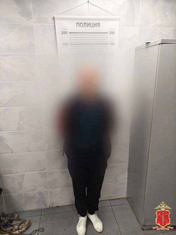 Полиция Московского района задержала подозреваемого в хищении у пенсионера 5,2 миллионов рублей
