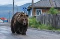 � ���������� ����� ������� �������� �������