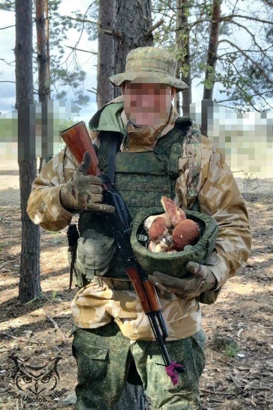 Z - в зоне проведения Специальной Военной Операции Z - в зоне проведения Специальной Военной Операции