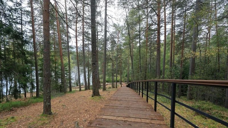 "Озёрную тропу" открыли в Курортном районе Петербурга