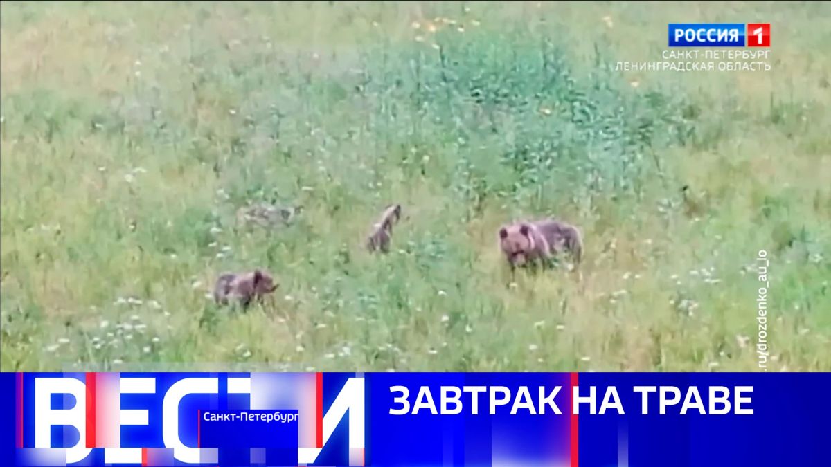 Вести Санкт-Петербург. Выпуск 20.50 от 19.09.2026