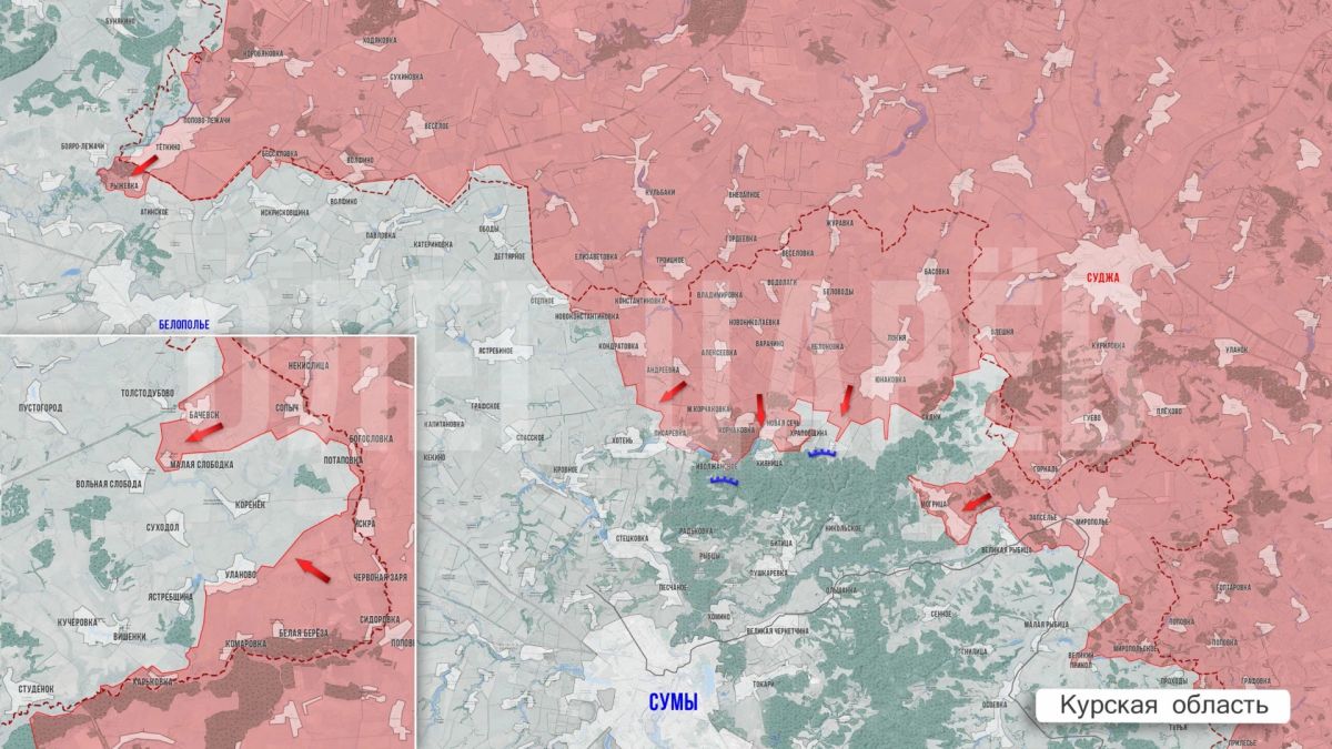 Олег Царёв: Фронтовая сводка Олег Царёв: Фронтовая сводка