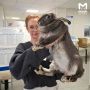 ��������� ���� ����������� � ������ � ���������� ��������� ��������� ��������� ����������