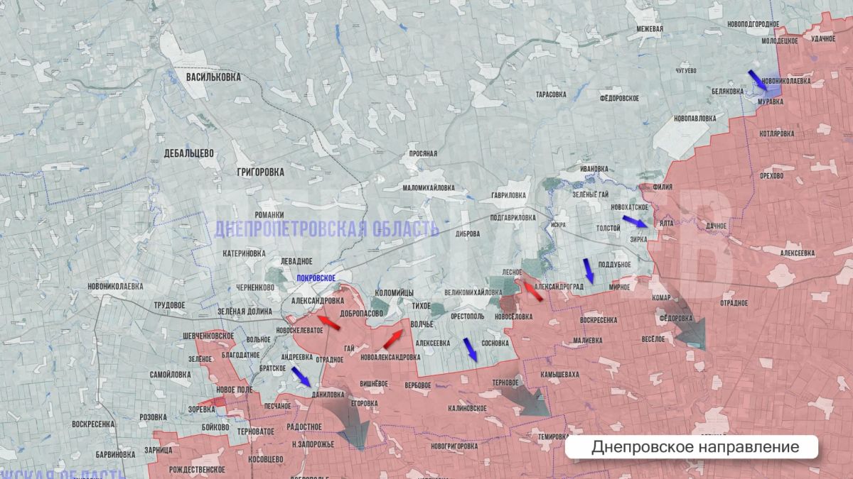 Олег Царёв: Фронтовая сводка Олег Царёв: Фронтовая сводка
