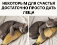 "НАТО располагает около 4000 страницами военных планов для различных сценариев – от локального кризиса до масштабного вооруженного нападения" - Глава Военного комитета НАТО адмирал Джузеппе Каво Драгоне