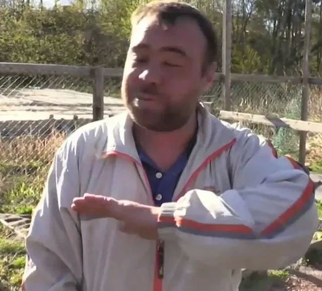 В Европе сообщили, что не признают и никогда не признают выборы, которые проводятся в новых регионах России