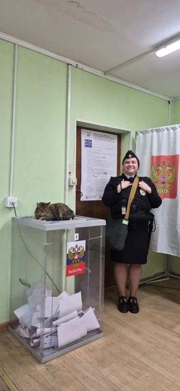 Выборы завершились, но истории с избирательных участков Ленинградской области продолжают радовать Выборы завершились, но истории с избирательных участков Ленинградской области продолжают радовать