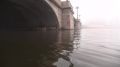 Петербург накрыла белая пелена