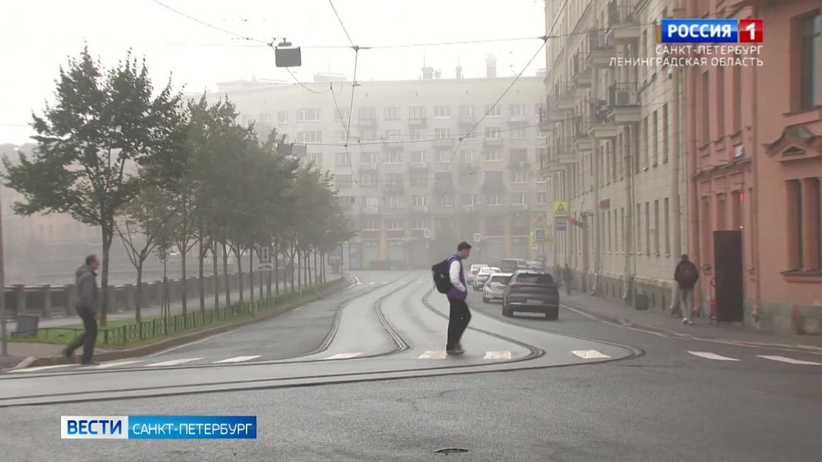 Утром Петербург накрыл густой туман